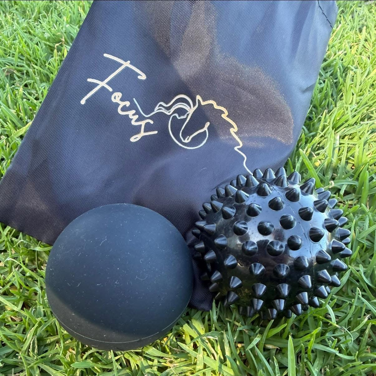 Focus equine Physio Balls