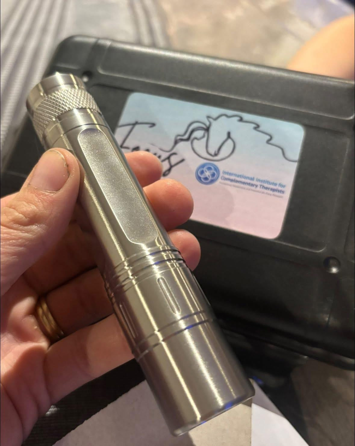 Focus Equine Red Light Therapy Torch