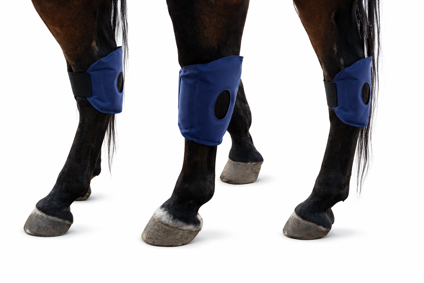 Focus Equine Ice Wraps