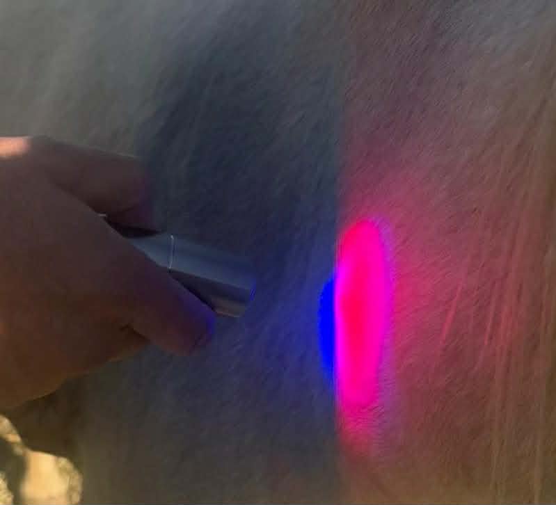 Photonic Therapy Torch - 5 Wavelength