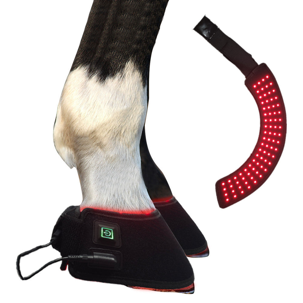 Focus Equine Red Light Therapy Bell Boot
