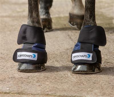 Cryochaps Absolute Ice Wrap Pair Pastern/Hocks/Knees